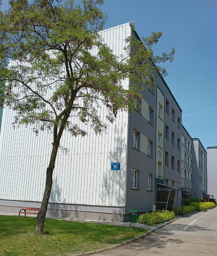 Bursztynowy Apartament Тарновске-Гуры Экстерьер фото