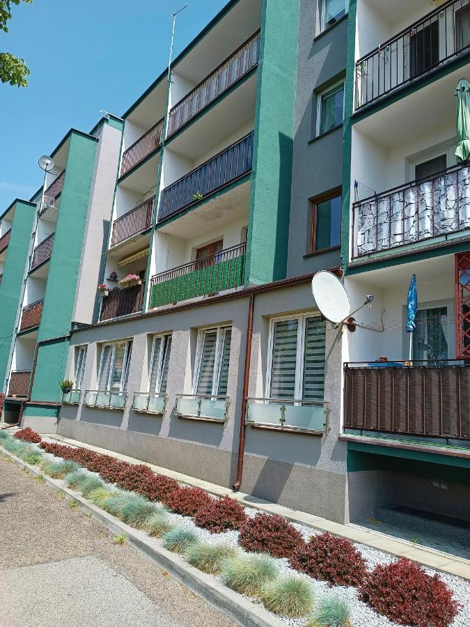 Bursztynowy Apartament Тарновске-Гуры Экстерьер фото