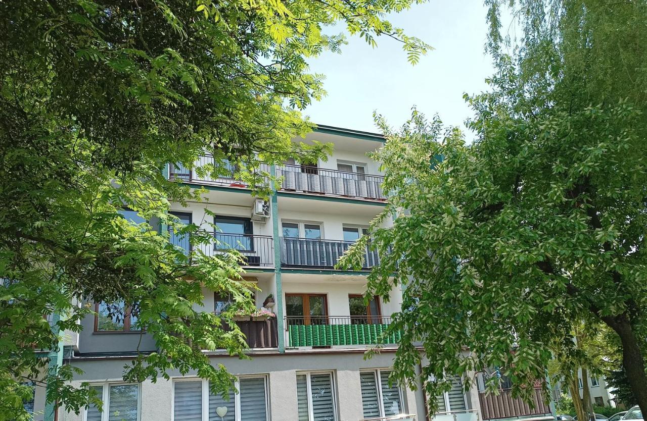 Bursztynowy Apartament Тарновске-Гуры Экстерьер фото